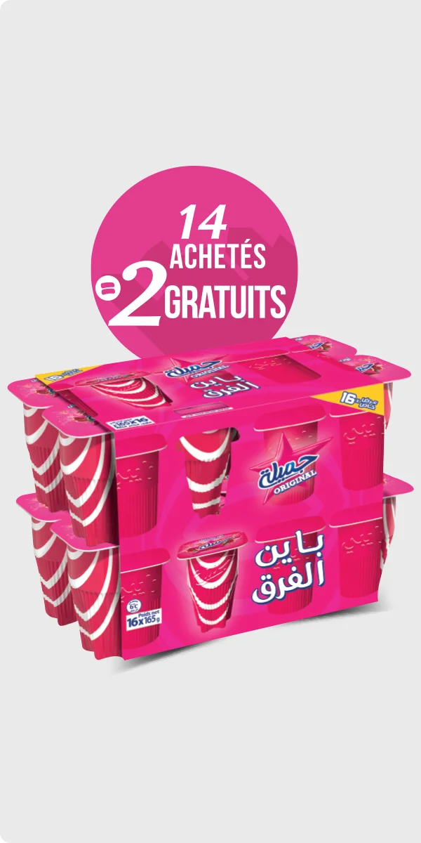 Pack de 16 pots Raïbi Jamila 165g – DANONE