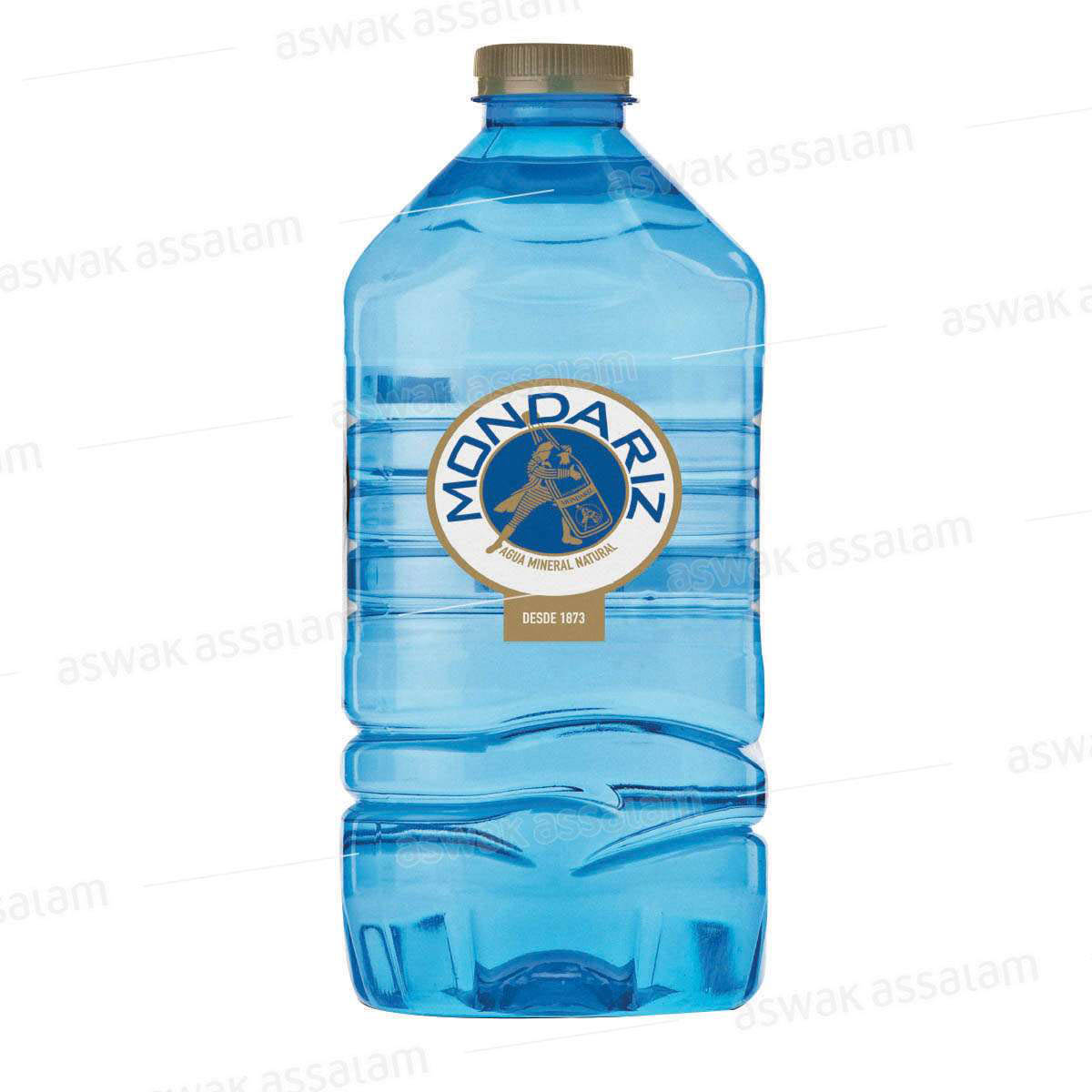 Eau Minerale Naturelle 0,5l Mondariz