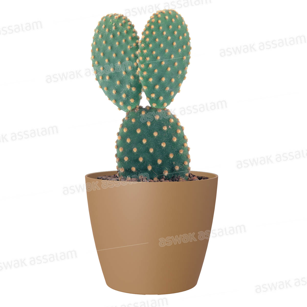 Pot de Fleurs Jaune Moutarde 14cm San Remo