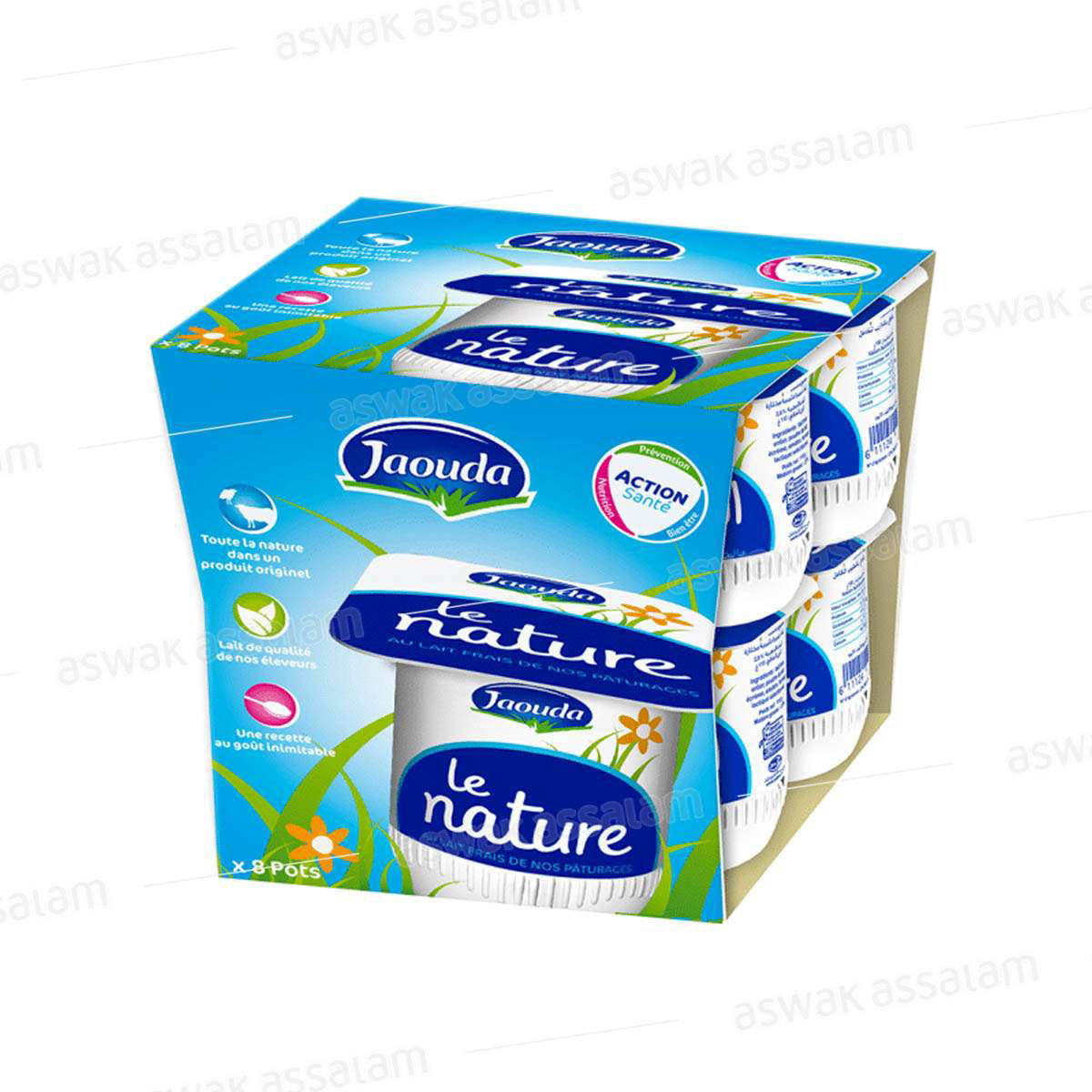 Yaourt Nature 8*110g Pack Jaouda
