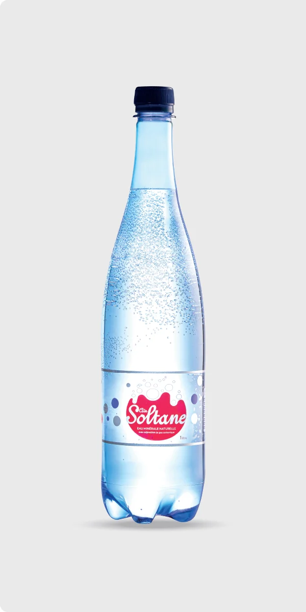 Eau minérale gazeuse 1L – AÏN SOLTANE