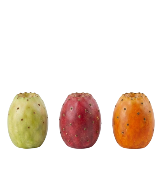 Figues de Barbarie