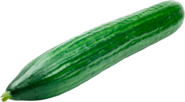 Concombre