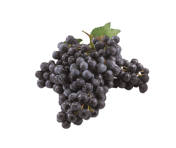 Raisin Muscat Filière Auchan "Cultivons le Bon"