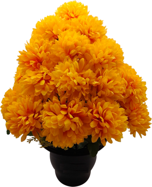 Composition de Chrysanthèmes