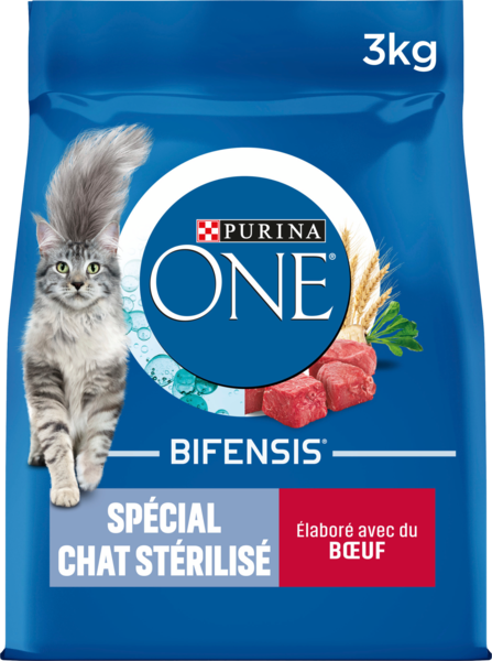 Croquettes pour Chat Stérilisé au Boeuf Purina One
