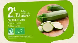 Courgette bio