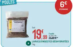 Myanki larves d'insectes déshydratées
