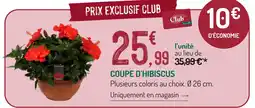 Le club botanic coupe d'hibiscus