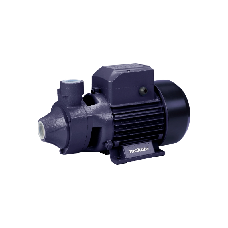 Pompe à eau 750W 1Hp MQB80