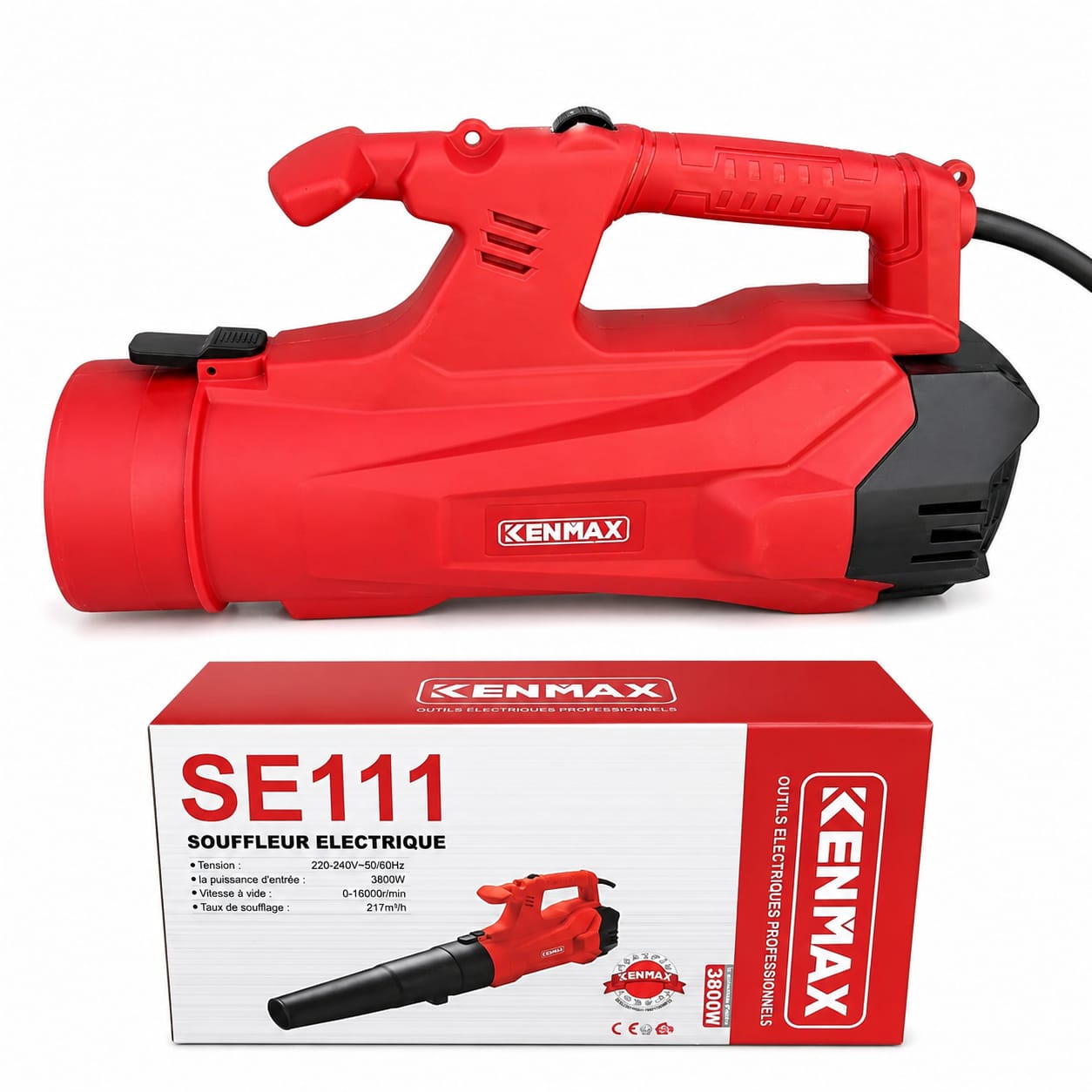 Souffleur éléctrique 3800W SE111