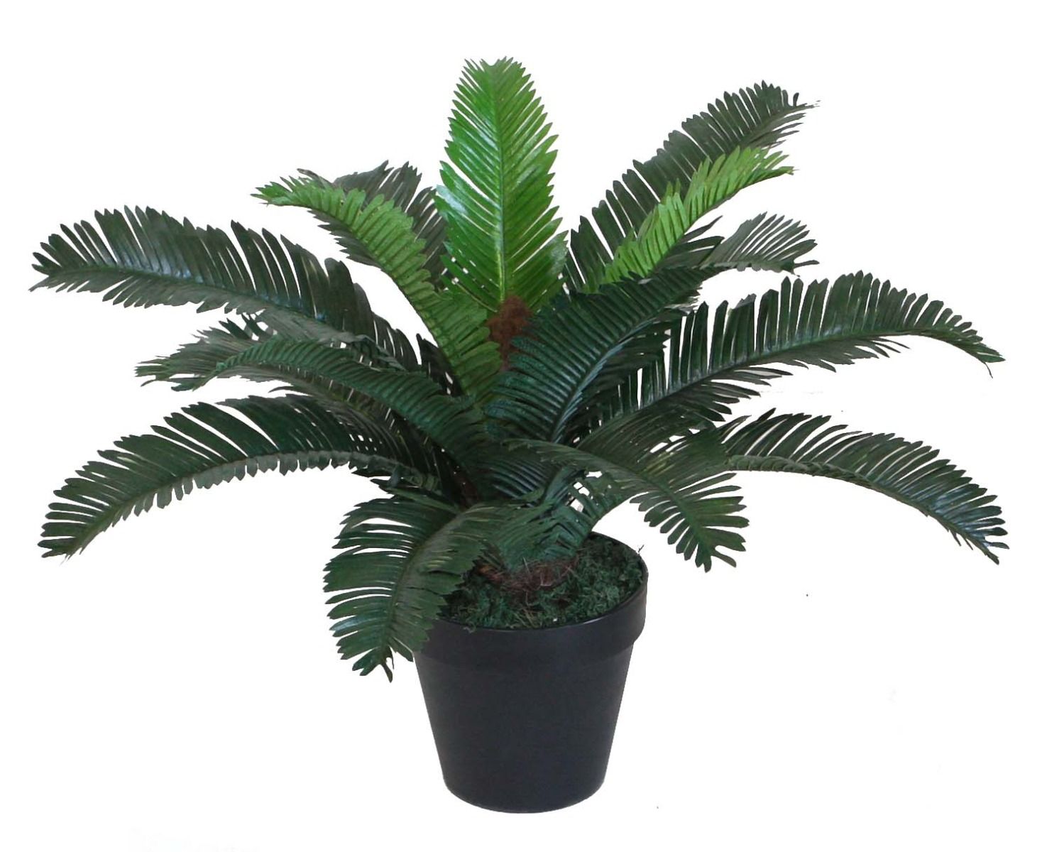 Plante Artificielle Cycas