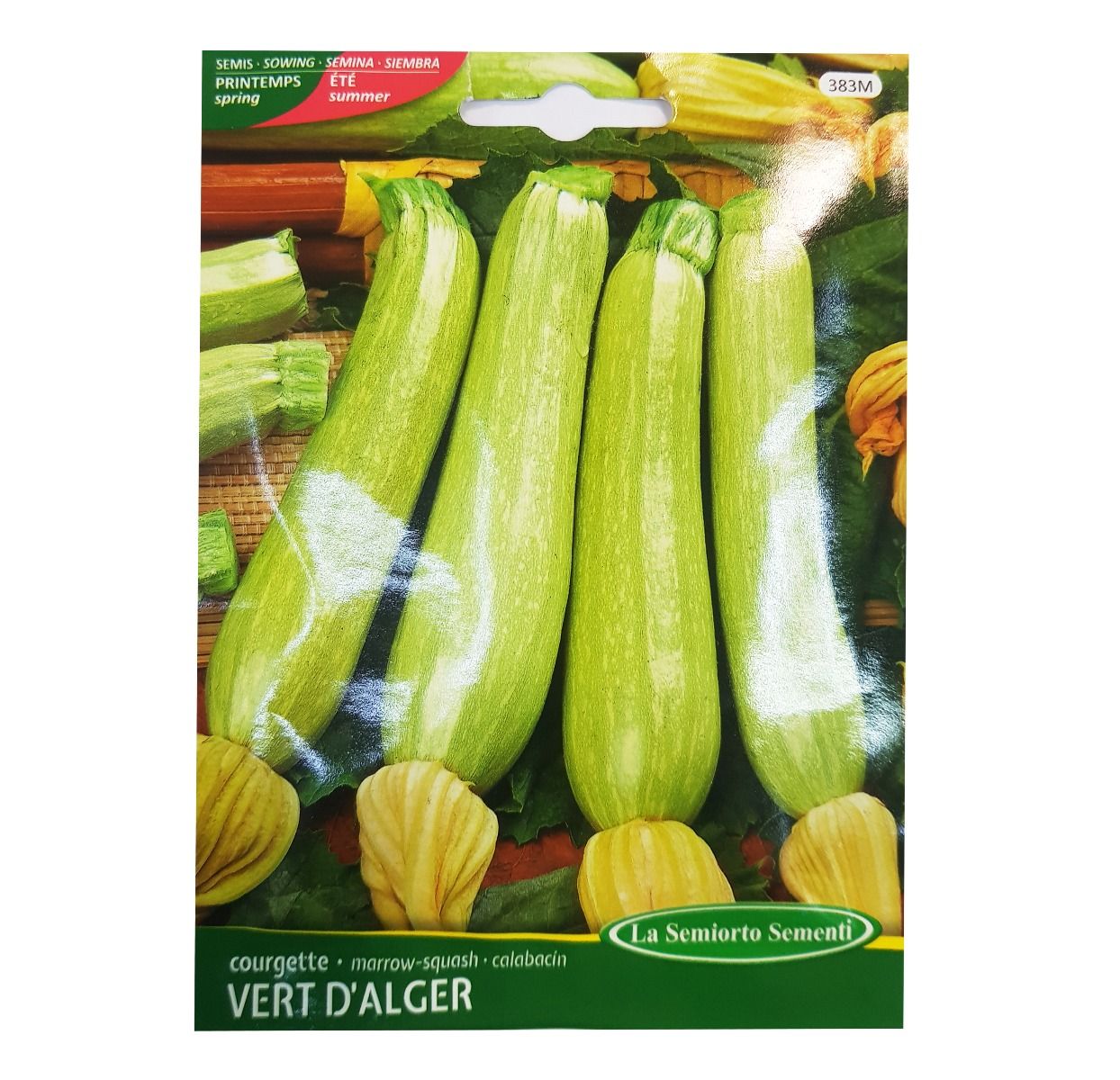 Courgette Verte D'alger Art 383