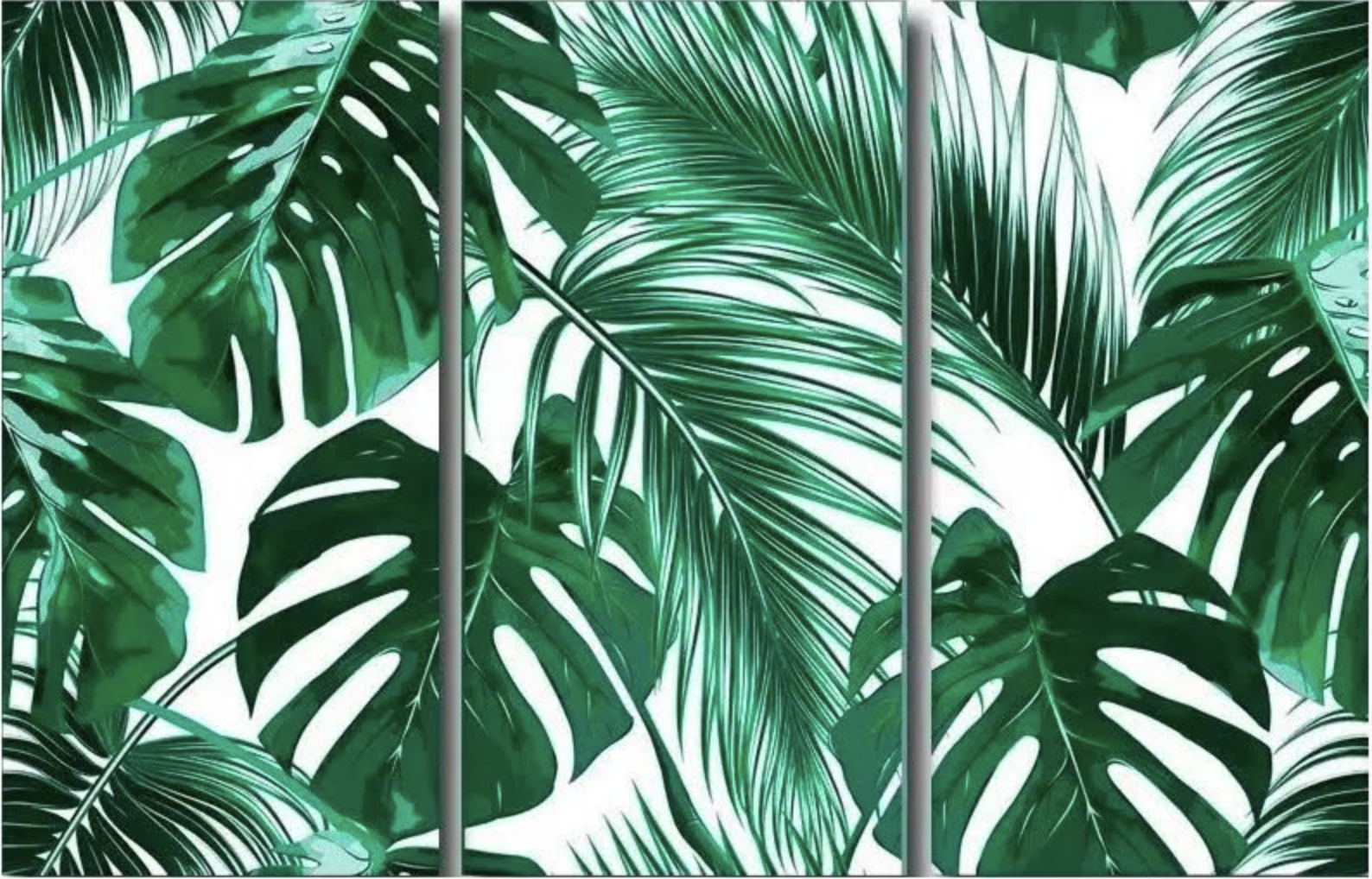 Poster Motif Plantes Vertes