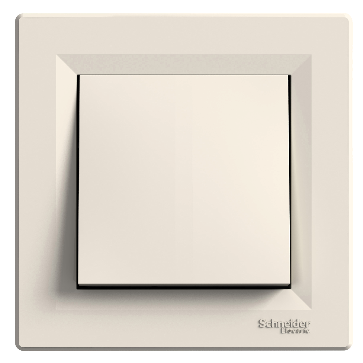 Interrupteur Simple Allumage