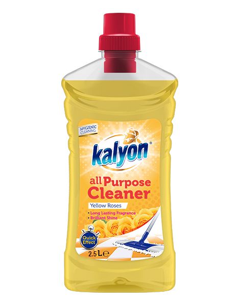Nettoyant Sol 2.5 L Kalyon Ref Ambre Orange