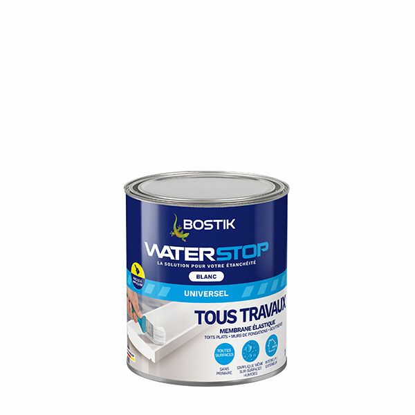 Bostik Waterstop Tous Traveaux Blanc en 1 Kg