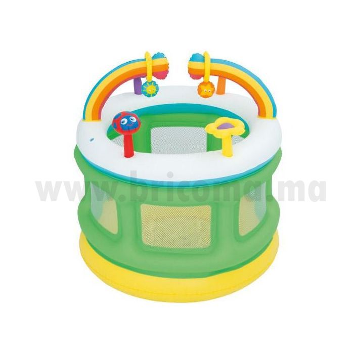 Aire de Jeux Gonflable