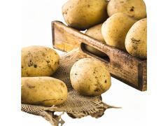 Pomme de Terre Blanche 500g