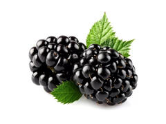Mûres 250g