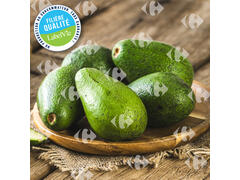 Avocat Local 500g - Filière Qualité