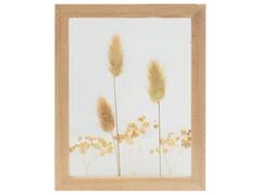 Tableau Rectangulaire avec Fleurs Séchées Kasa 23x18cm