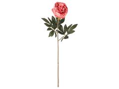 Tige de Pivoine Rose Kasa 48 cm