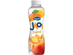 Yaourt à Boire Tropical JAO 380g