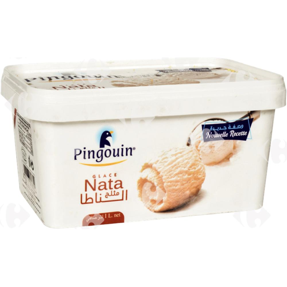 Glace Nata Nature Pingouin Pot 1l