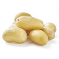 Pomme De Terre Ratte