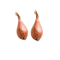 Echalote Vrac