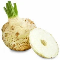 Celeri Rave Bio