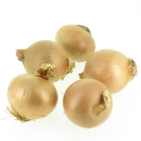 Oignon
