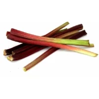 Rhubarbe
