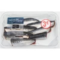 Filet De Sardine