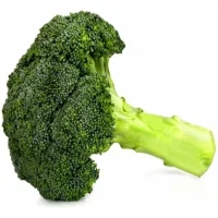 Brocoli Bio