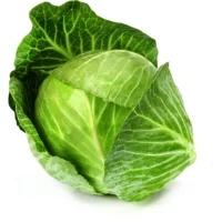 Chou Bio Vert