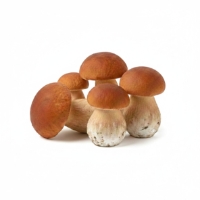 Cepes