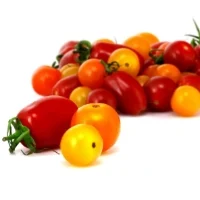 Tomates Cerise Allongees