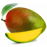 Mangue Bio