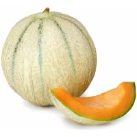 Melon Charentais Bio