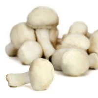 Champignons Blancs Petit Prix