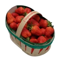Fraises De Carpentras