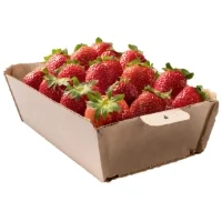 Fraises Dream