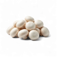 Champignons Blanc Bio