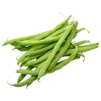 Haricot Vert Vrac Bio