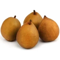 Poires Angelys