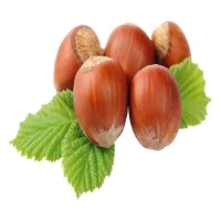 Noisettes Vrac Bio