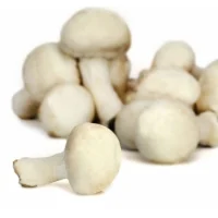 Champignons Blancs