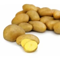 Pommes De Terre De Consommation